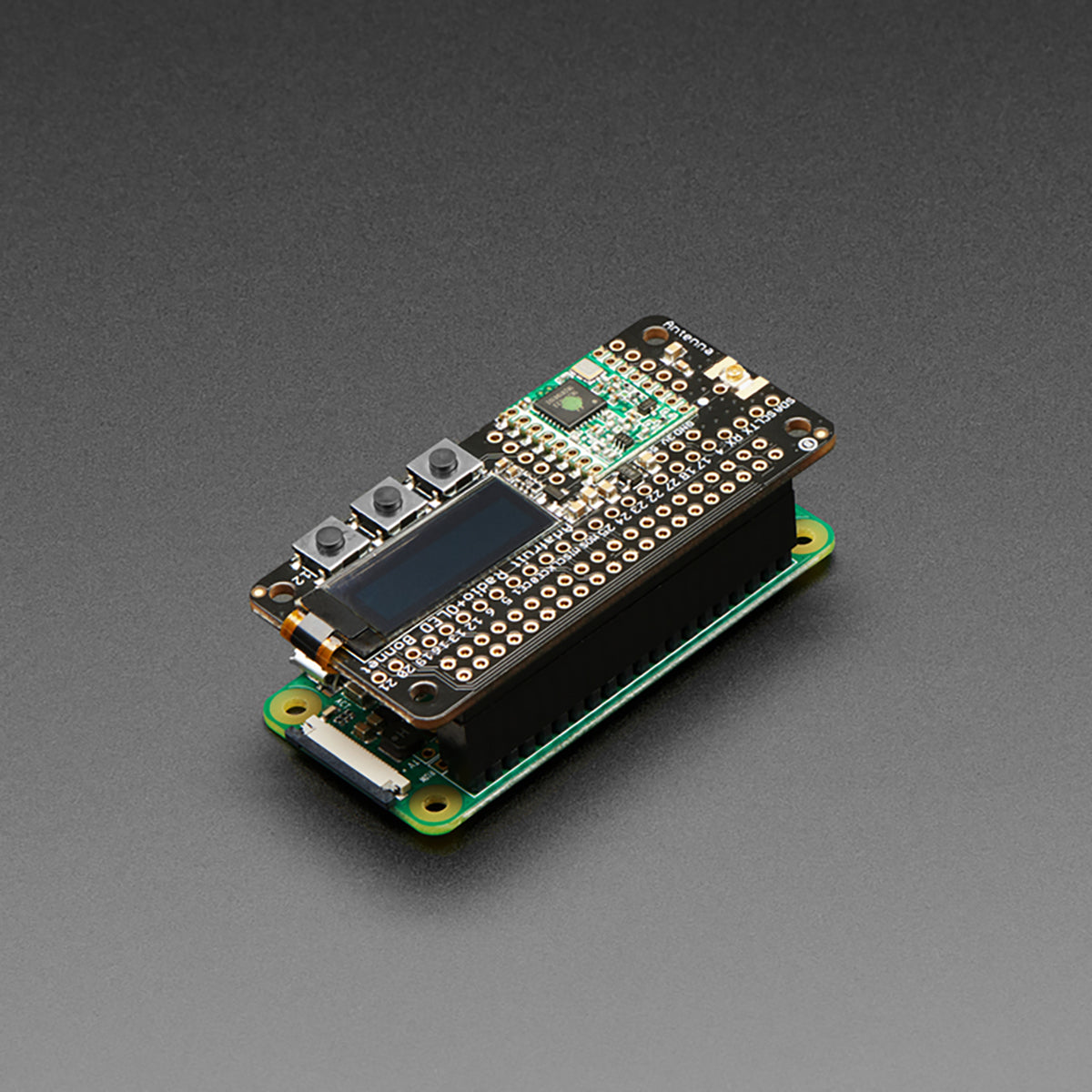 Adafruit 2x20 Socket Riser Header for Raspberry Pi HATs and Bonnets ...